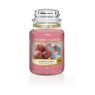 Yankee Candle Roseberry Sorbet große Duftkerze im Glas (623g)