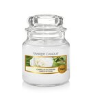 Yankee Candle Camellia Blossom kleine Duftkerze im Glas (104g)