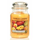 Yankee Candle Mango Peach Salsa große Duftkerze im Glas (623g)