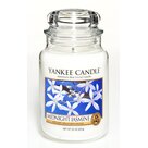 Yankee Candle Midnight Jasmine große Duftkerze im Glas (623g)