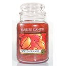 Yankee Candle Spiced Orange große Duftkerze im Glas...