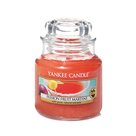 Yankee Candle Passion Fruit Martini kleine Duftkerze im Glas (104g)